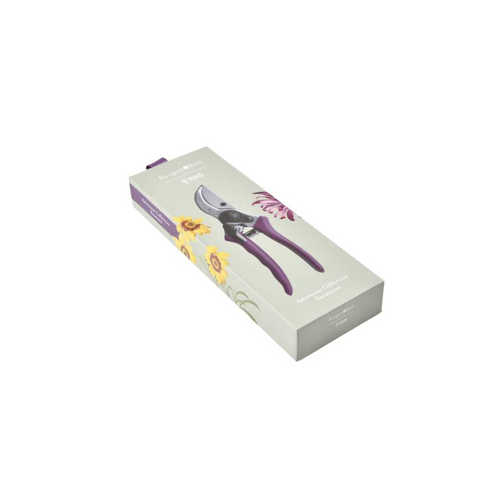 BURGON & BALL: Asteraceae | Secateurs