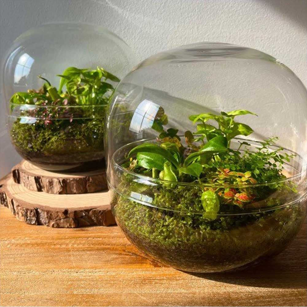 LULU & ANGEL: Globe Terrarium
