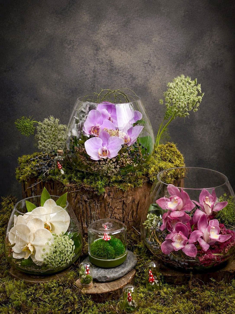 CYMBID BOWL: Soft & Pretty