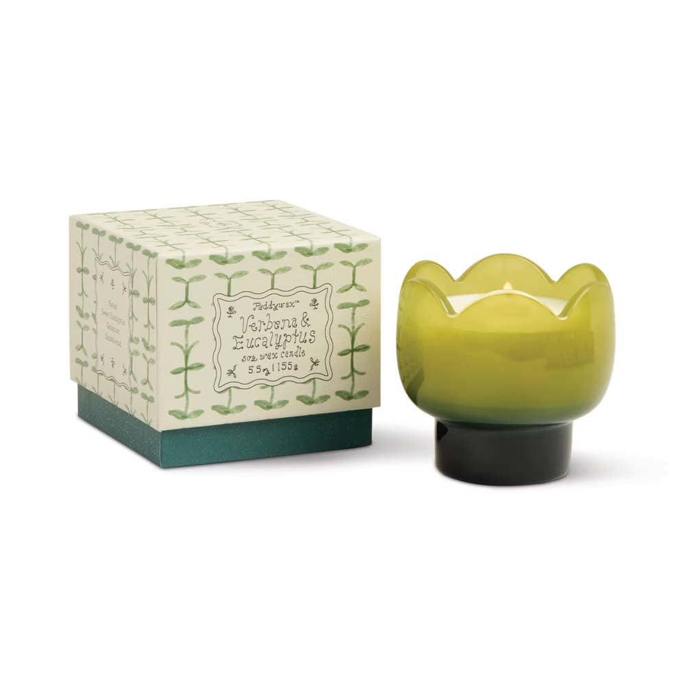 PADDYWAX: Tulip | Verbena & Lemongrass