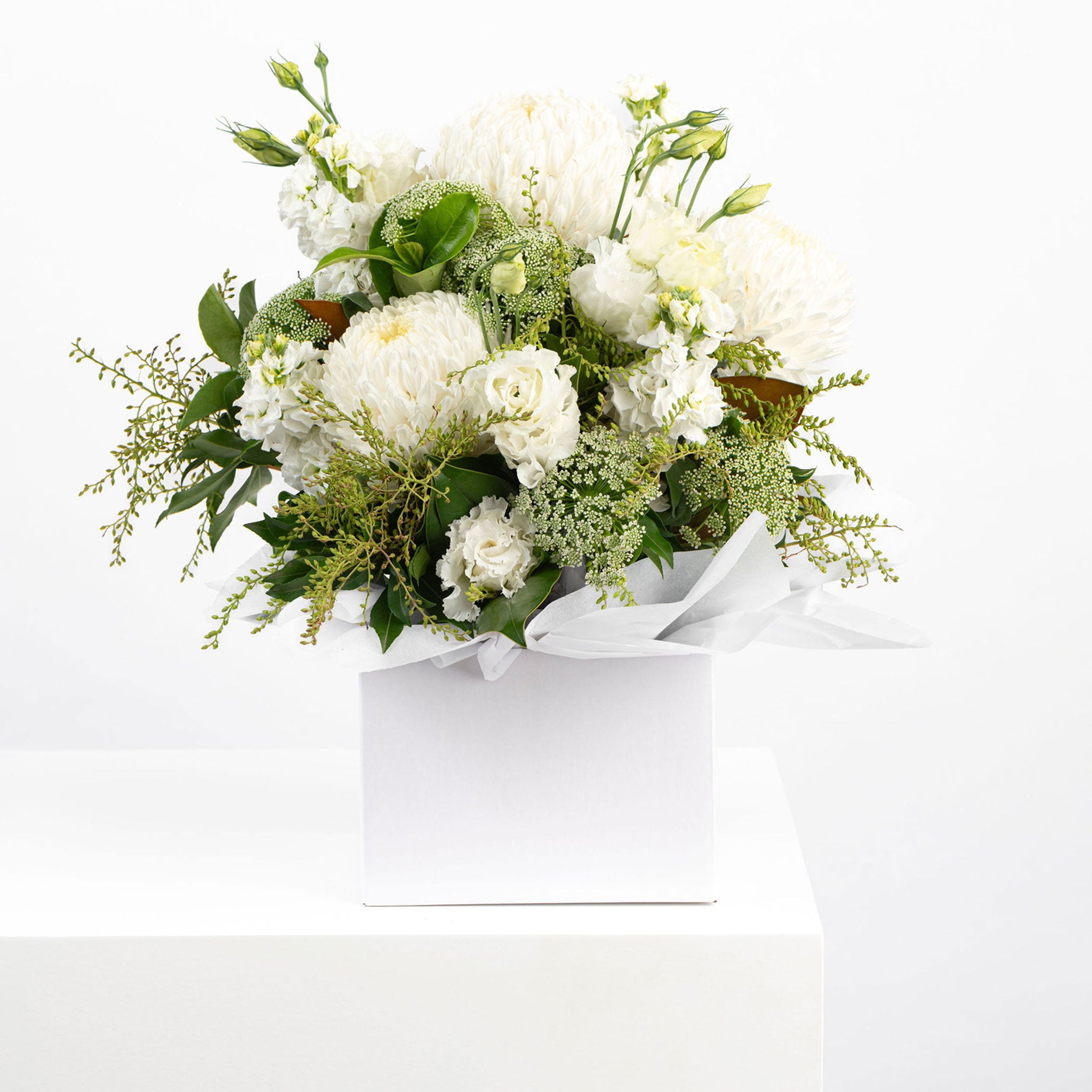 SYMPATHY BOX