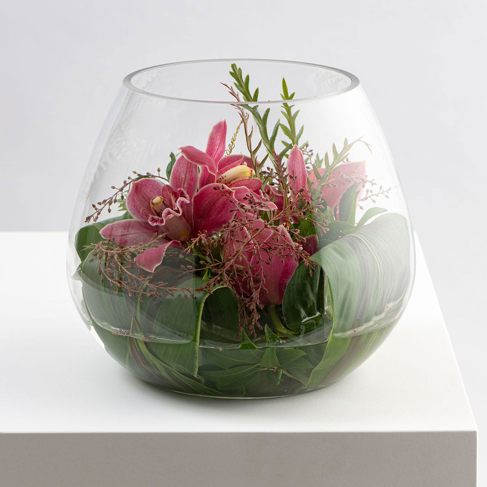 CYMBID BOWL: Soft & Pretty