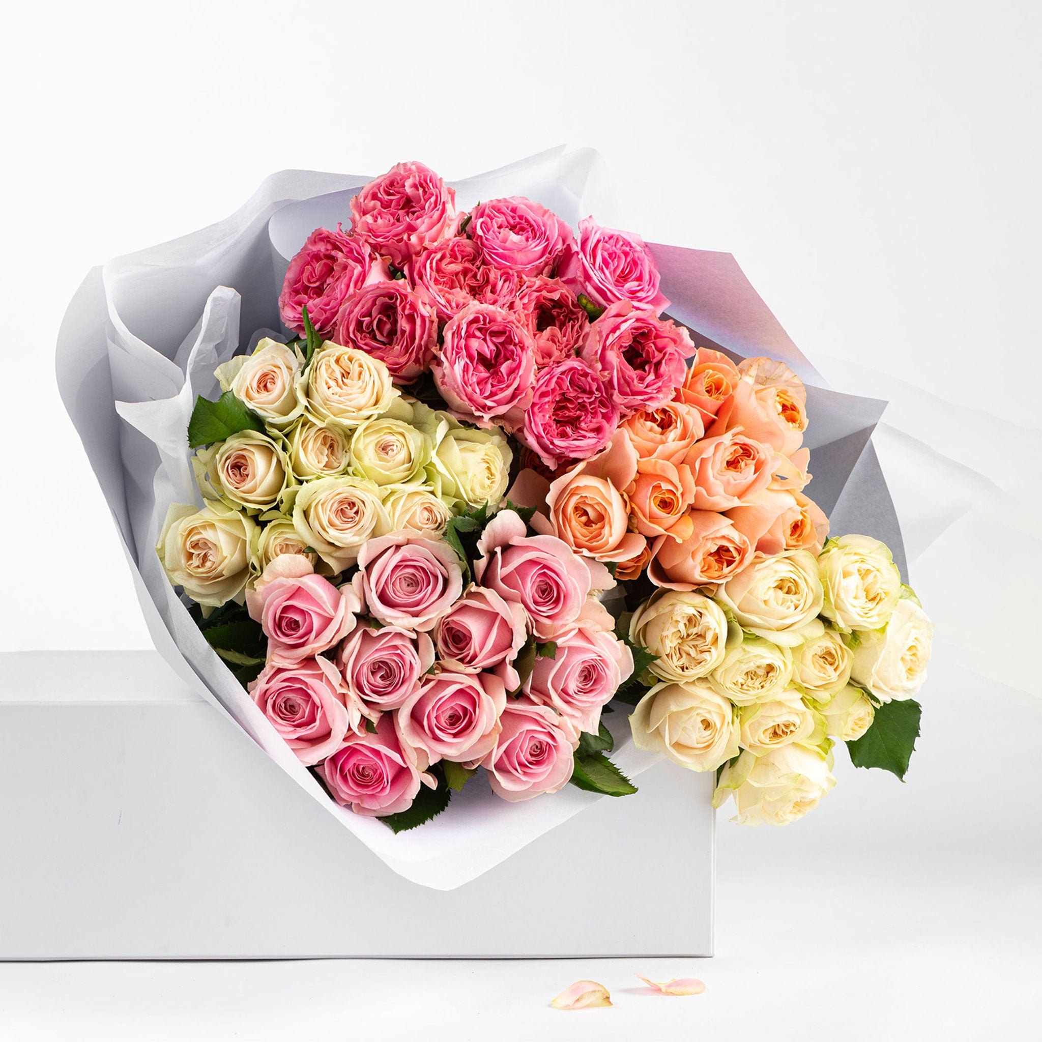 FRESHLY CUT ROSES: Soft & Pretty