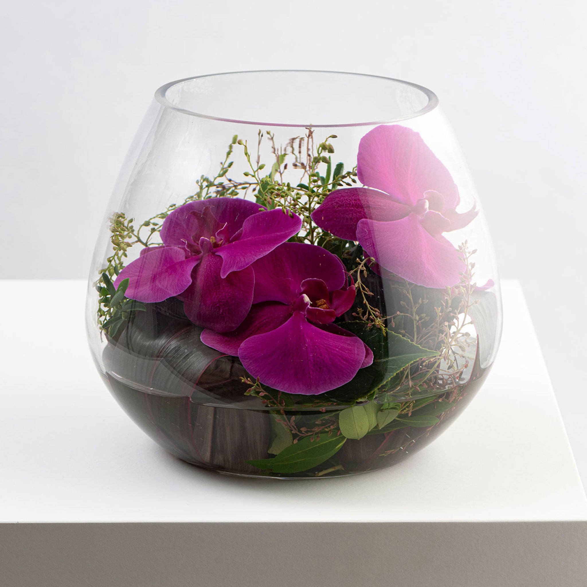 PHALLY BOWL: Magenta