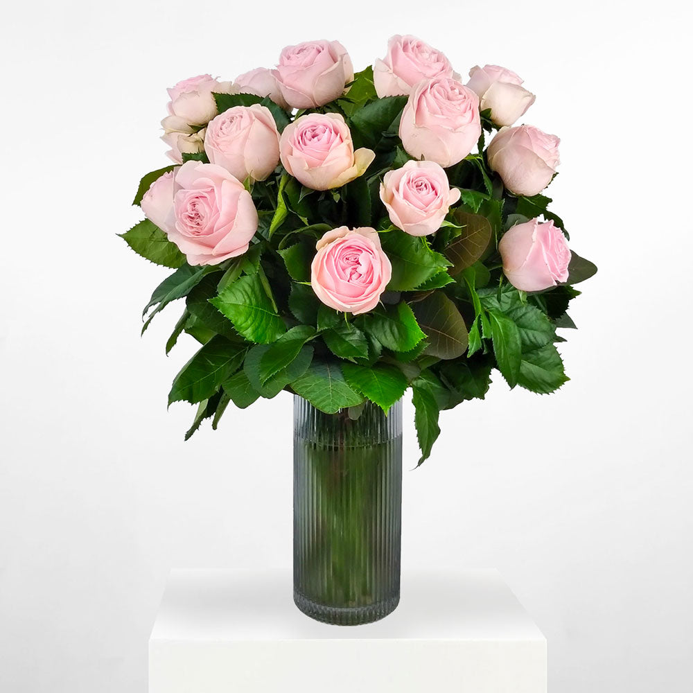 PINK ROSE VASE