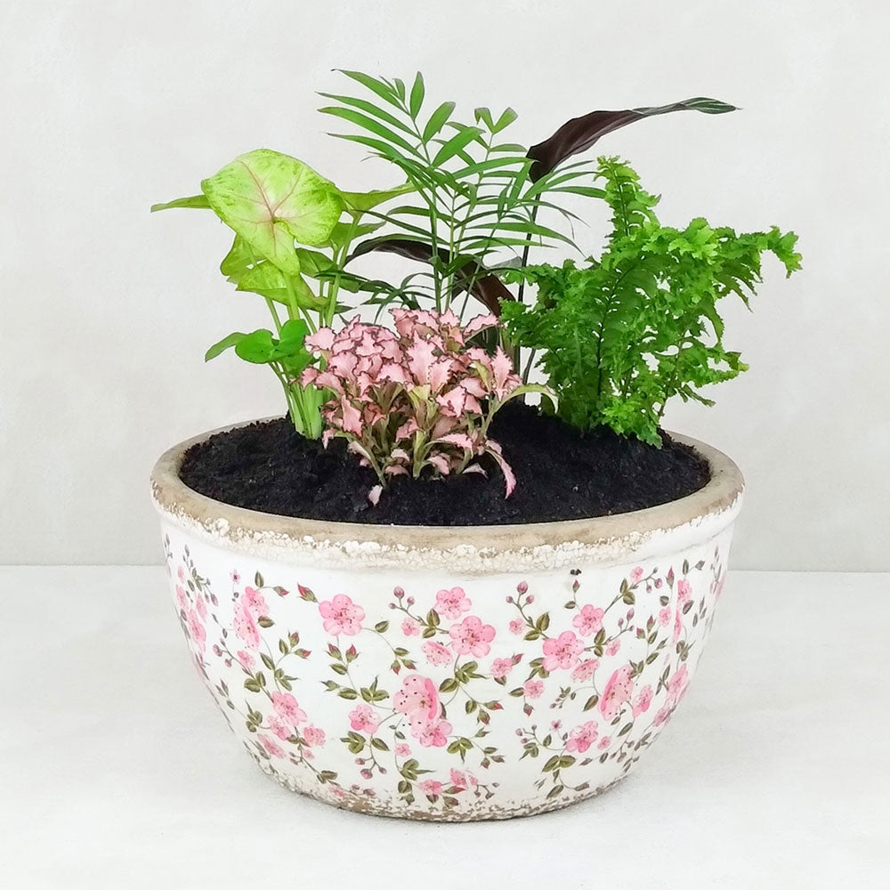 VINTAGE POTTED GARDEN: Pink