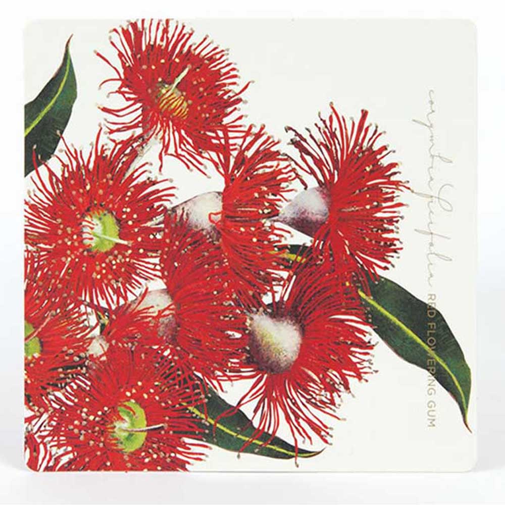 BELL ART: Drink Coasters | Eucalypt Collection