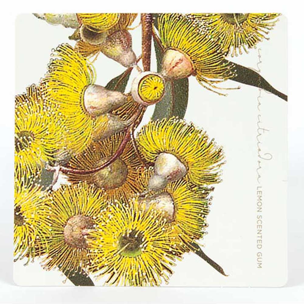 BELL ART: Drink Coasters | Eucalypt Collection