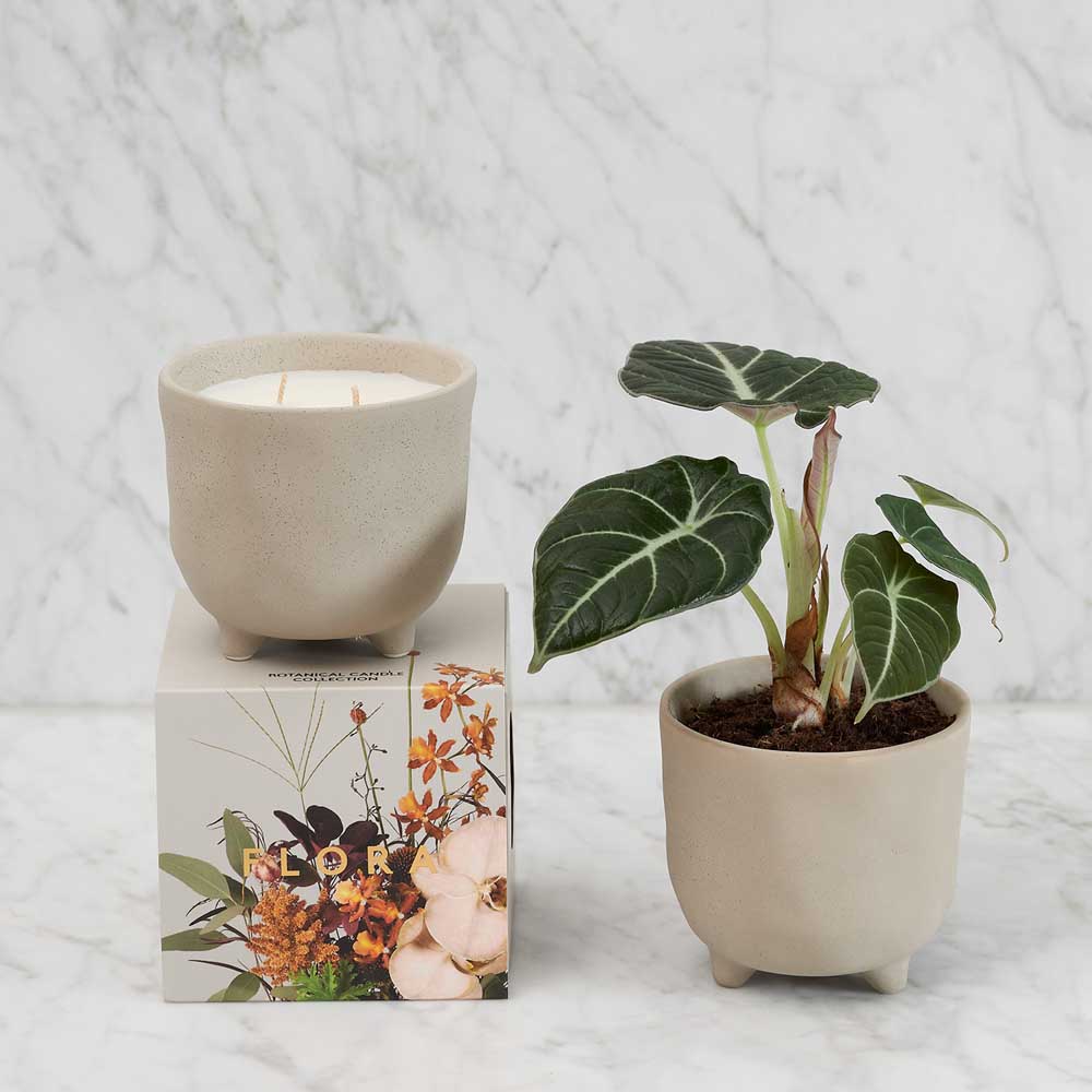 MYRTLE & MOSS: Botanical Candle | Flora
