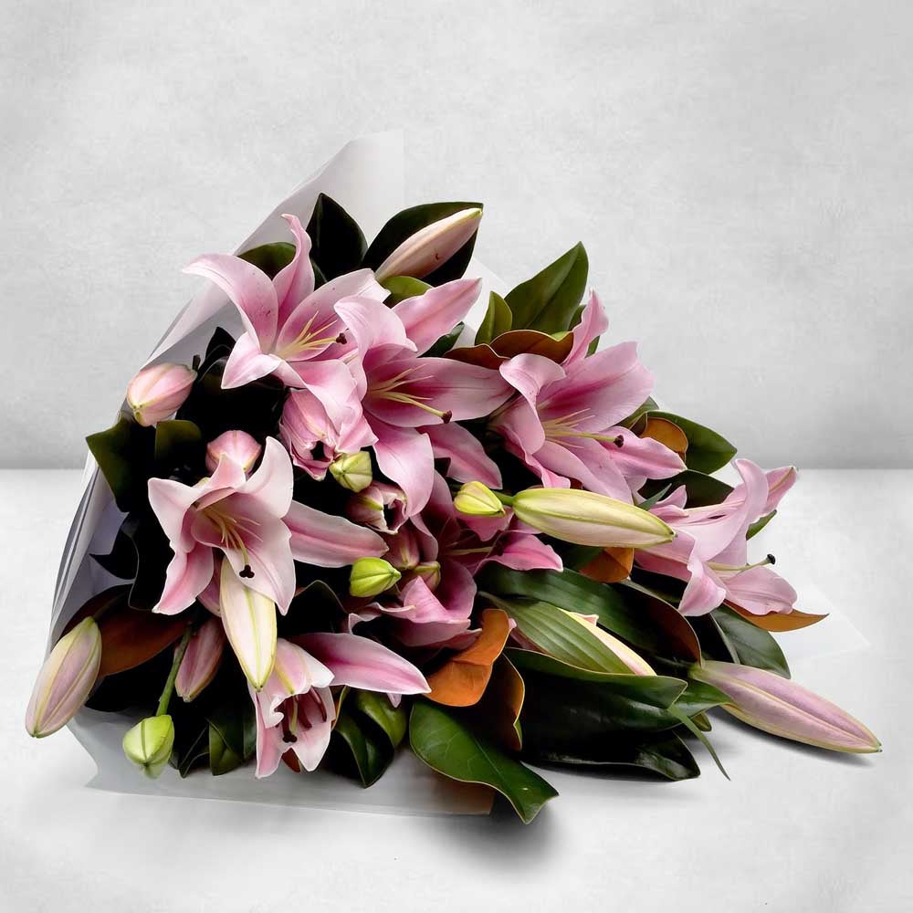 LILIES WITH FOLIAGE: Pink