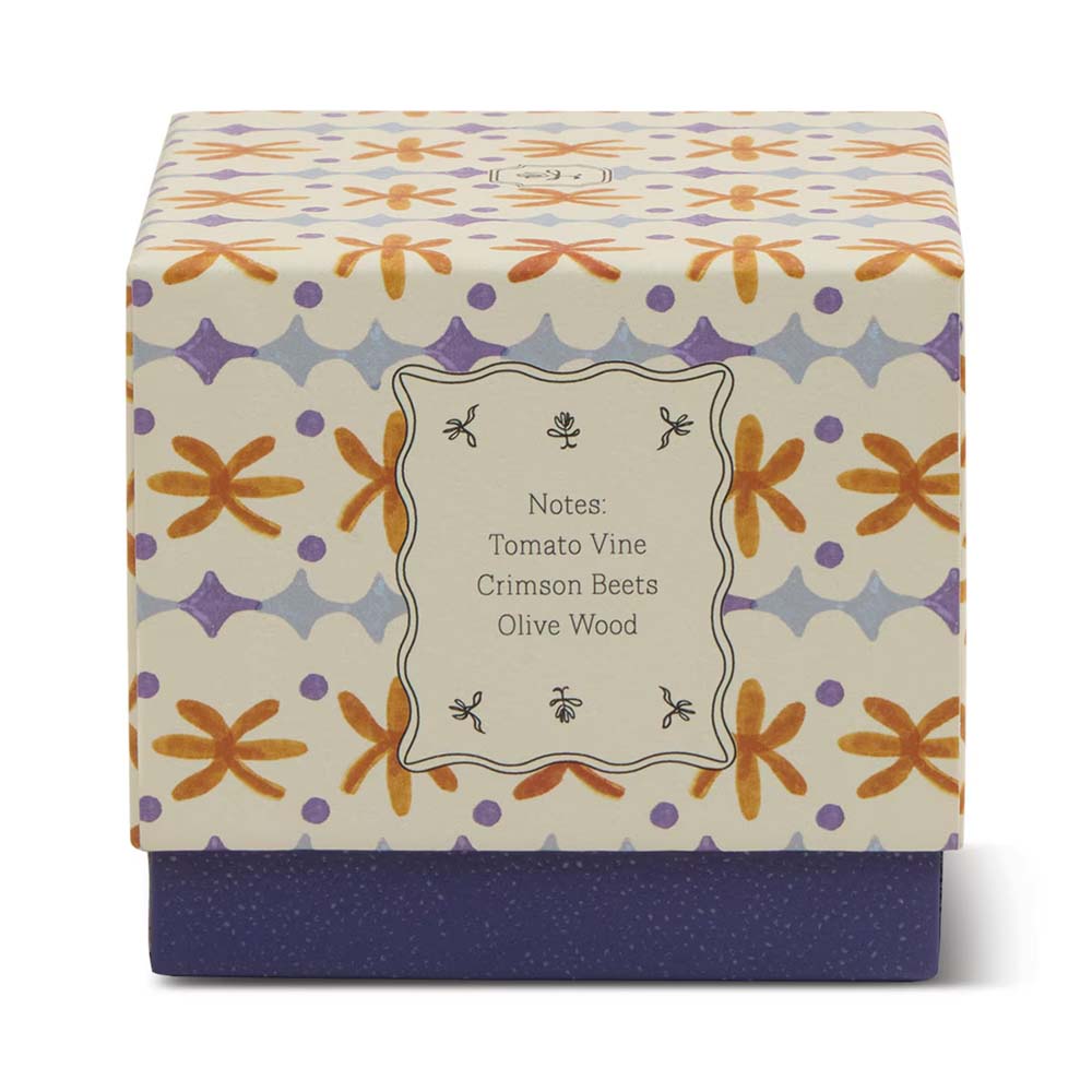 PADDYWAX: Tulip | Garden & Grove