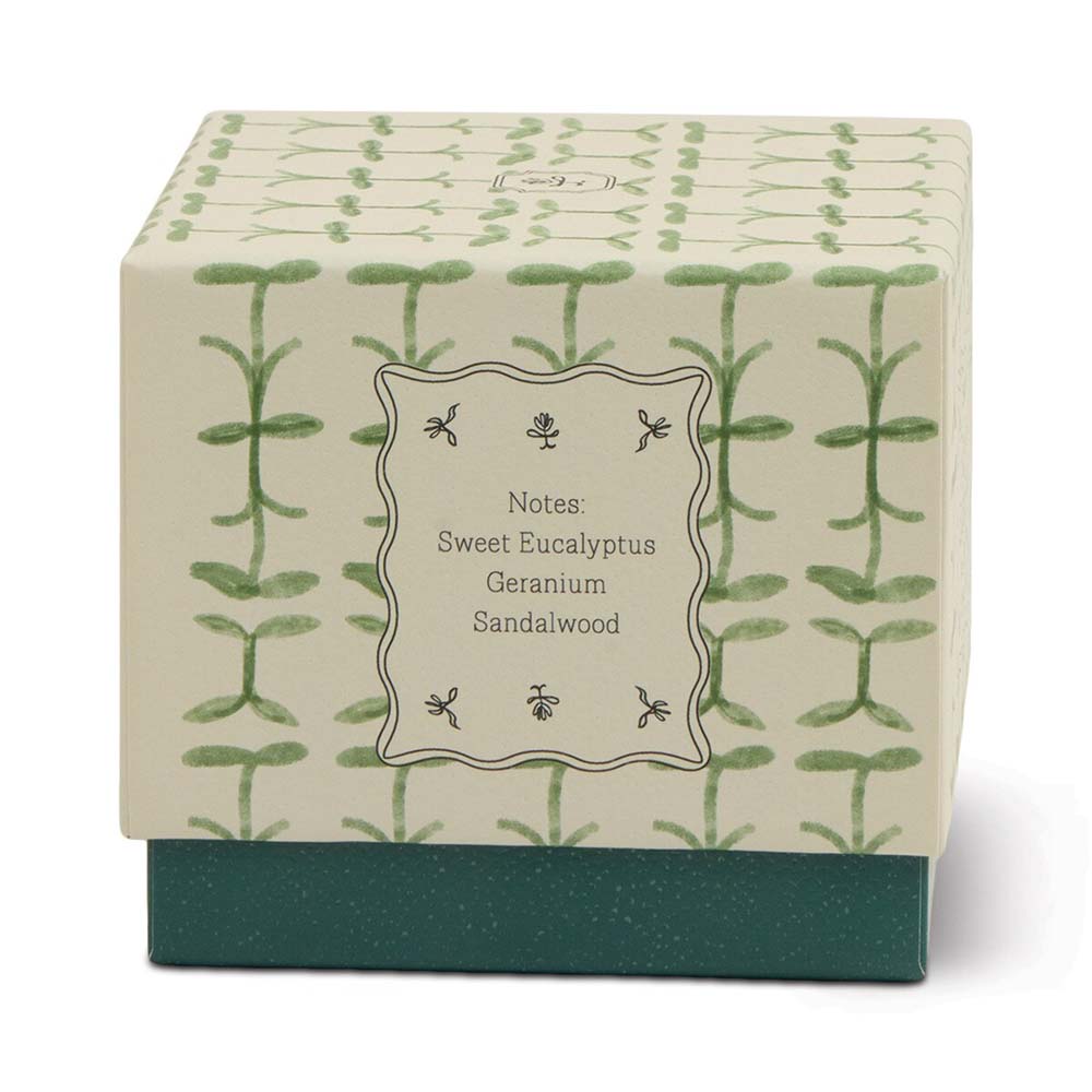 PADDYWAX: Tulip | Verbena & Lemongrass