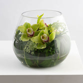 CYMBID BOWL: Bright & Cheerful