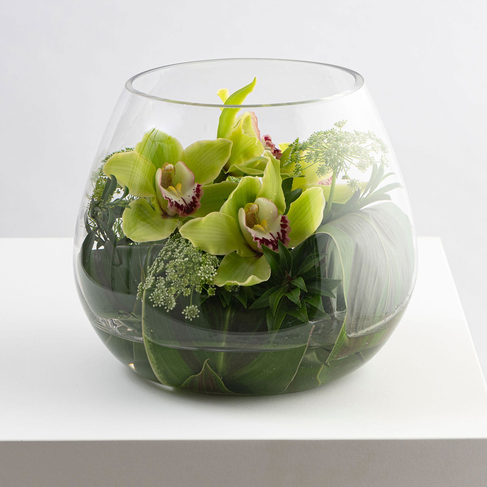 CYMBID BOWL: Bright & Cheerful