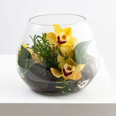 CYMBID BOWL: Florist Choice