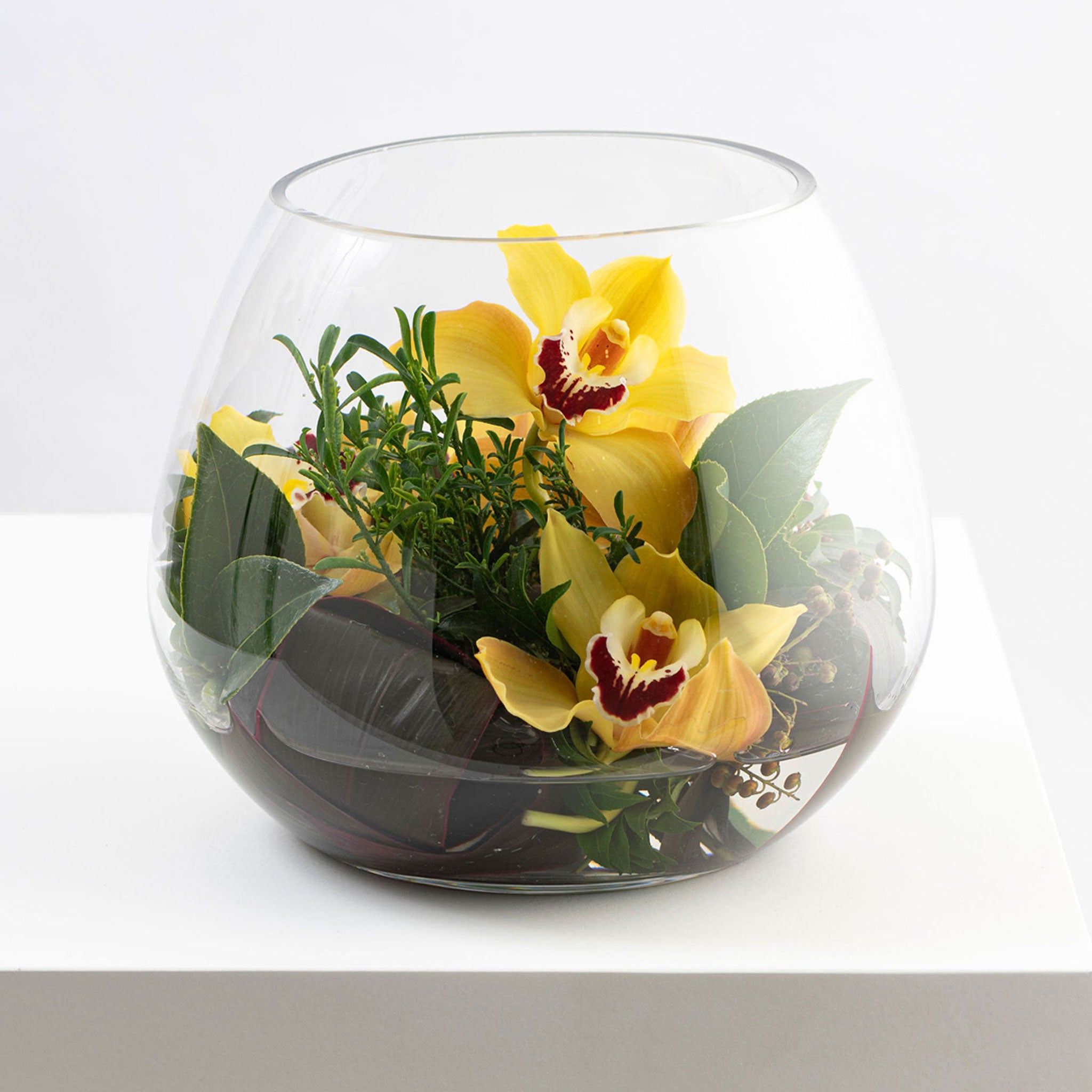 CYMBID BOWL: Florist Choice