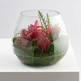 CYMBID BOWL: Soft & Pretty