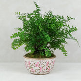 FERN VINTAGE PLANTER: Pink | Medium