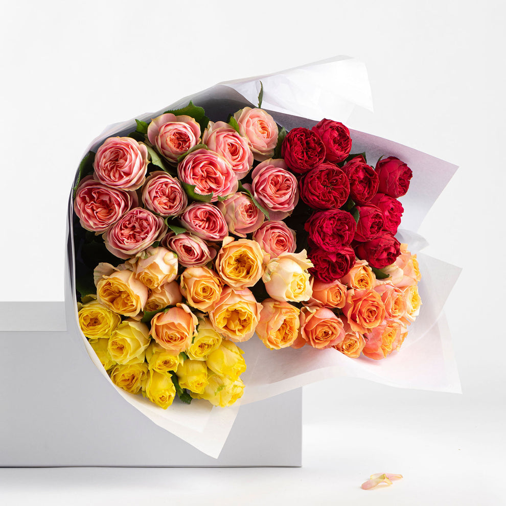 FRESHLY CUT ROSES: Bright & Cheerful – Say It With Flowers