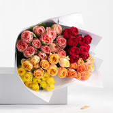 FRESHLY CUT ROSES: Bright & Cheerful