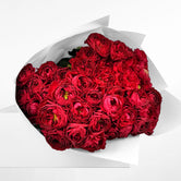 FRESHLY CUT ROSES: Modern Reds