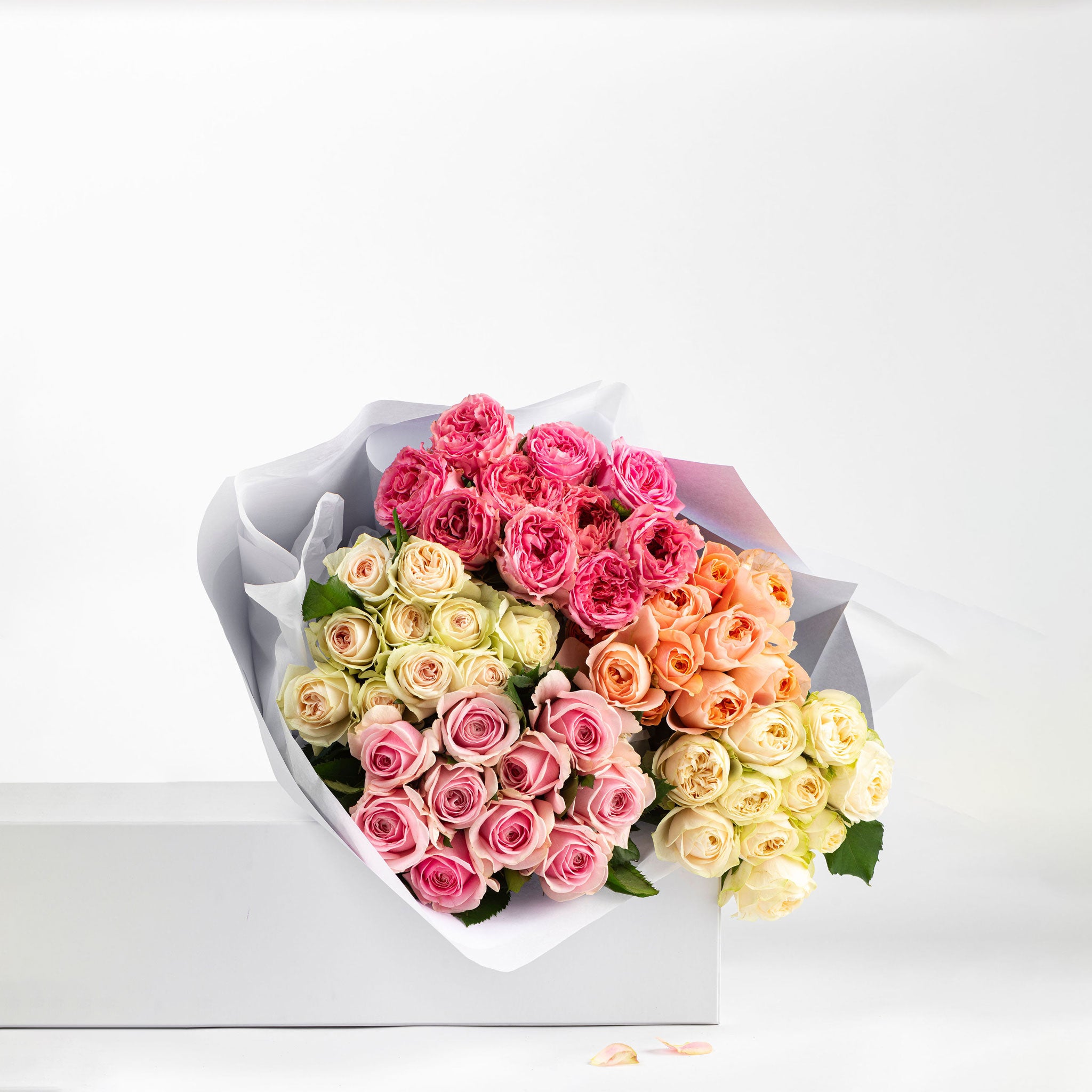 All Flowers & Plants – Say It With Flowers