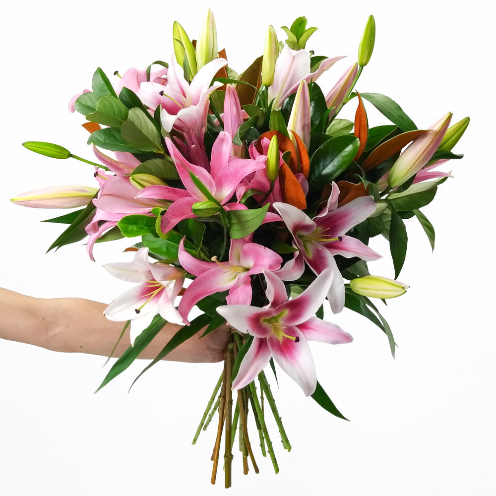 LILIES WITH FOLIAGE: Pink