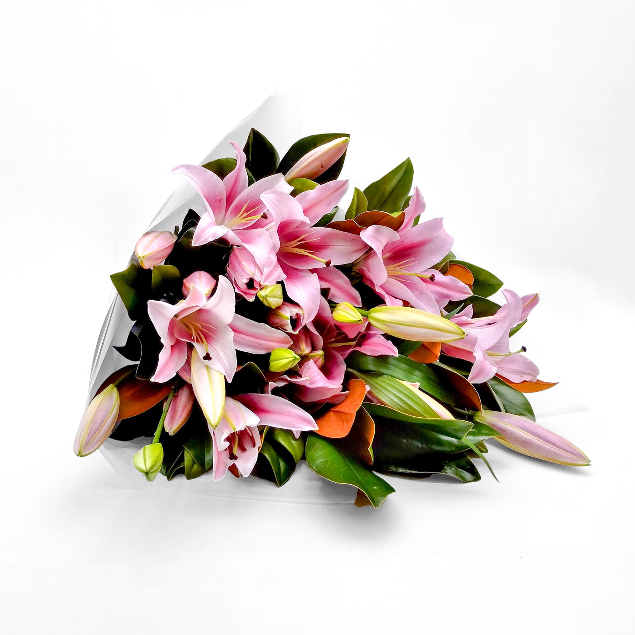 LILIES WITH FOLIAGE: Pink