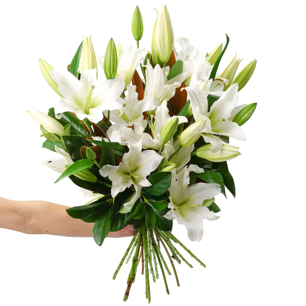 LILIES WITH FOLIAGE: White