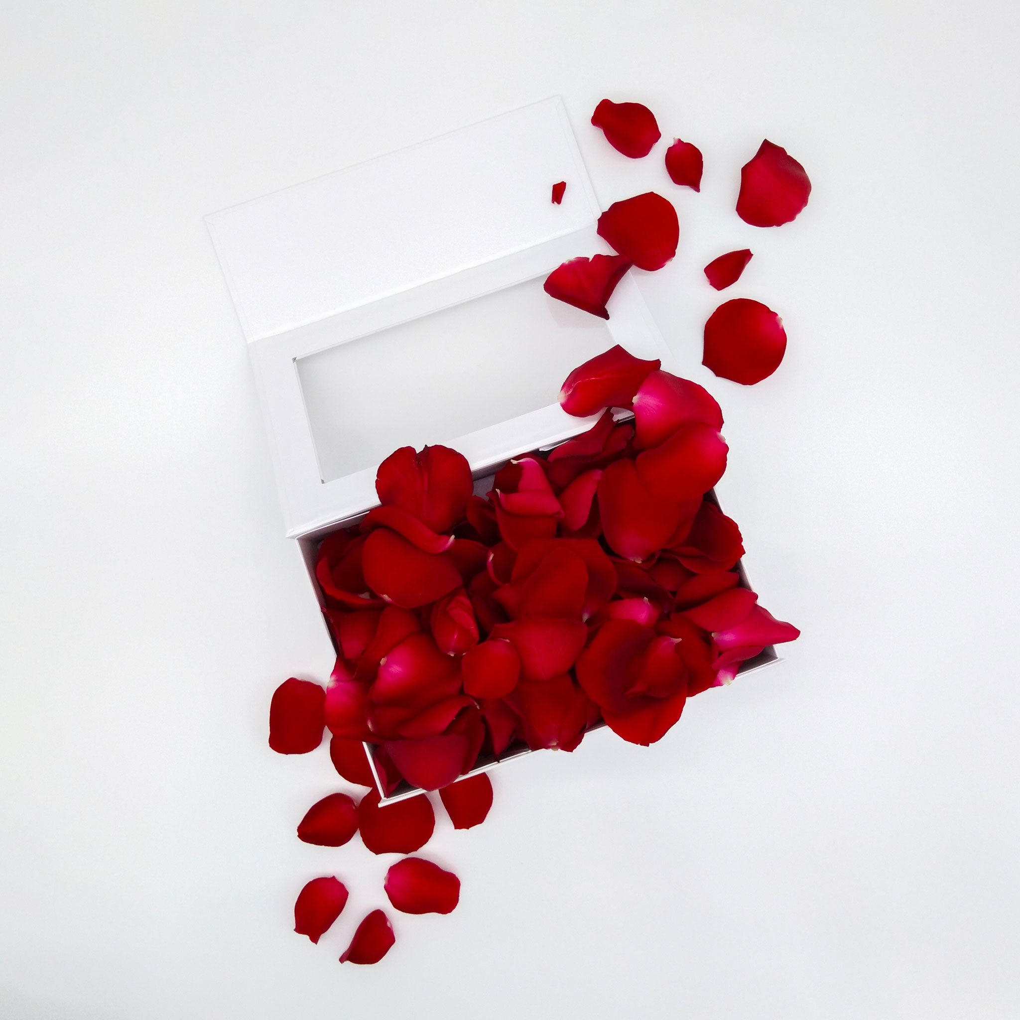 ROSE PETALS: Red