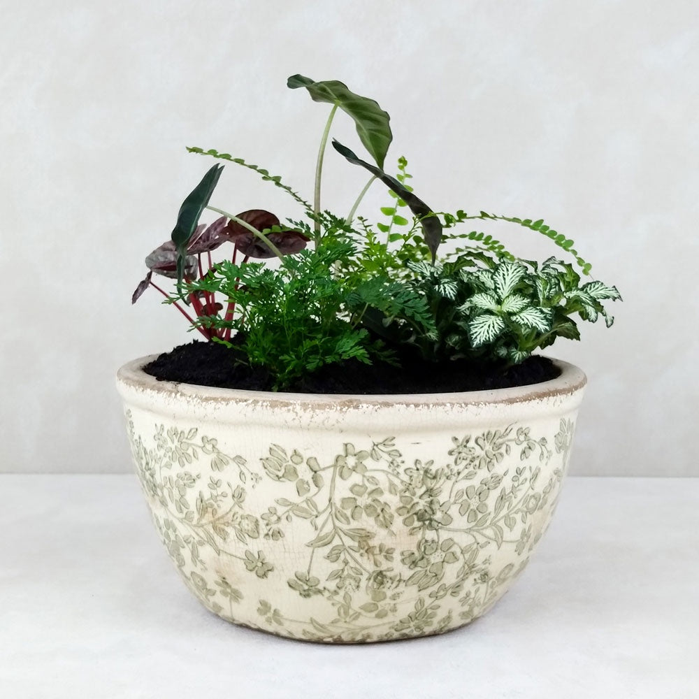 VINTAGE POTTED GARDEN: Green