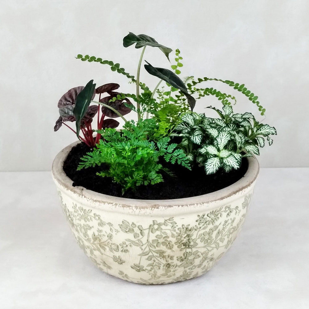 VINTAGE POTTED GARDEN: Green