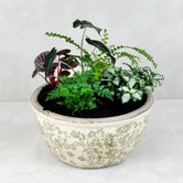 VINTAGE POTTED GARDEN: Green