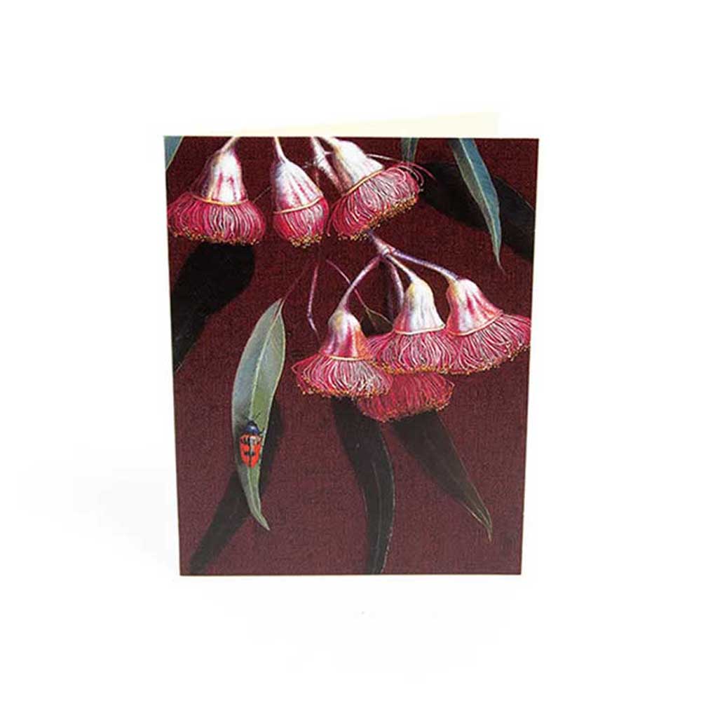 BELL ART: Boxed Cards | Gum Bugs Florist