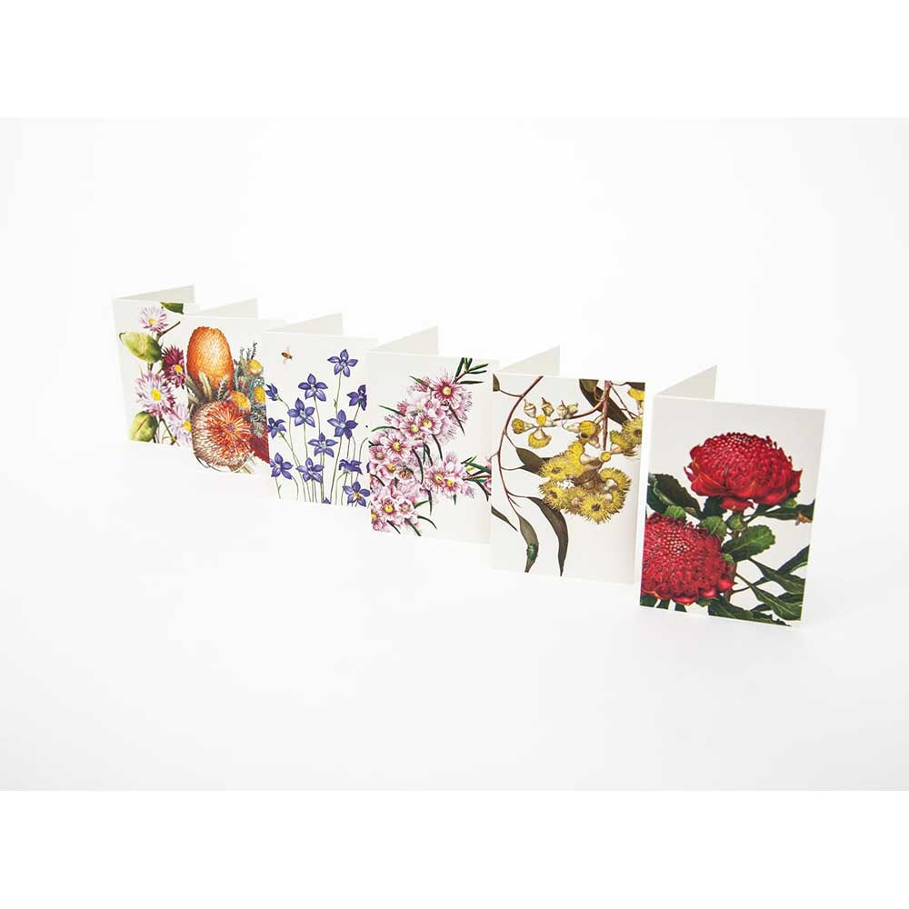 BELL ART: Boxed Cards | Mini Florist
