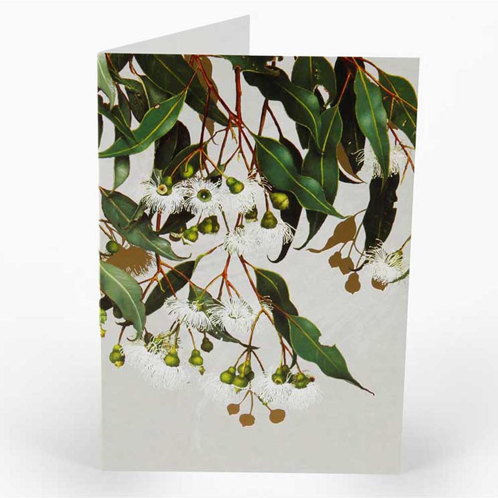 BELL ART: Boxed Cards | White Collection