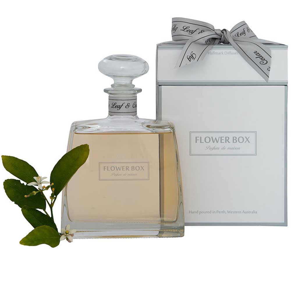 FLOWER BOX: Hallmark Diffuser | Fig Leaf & Cedar