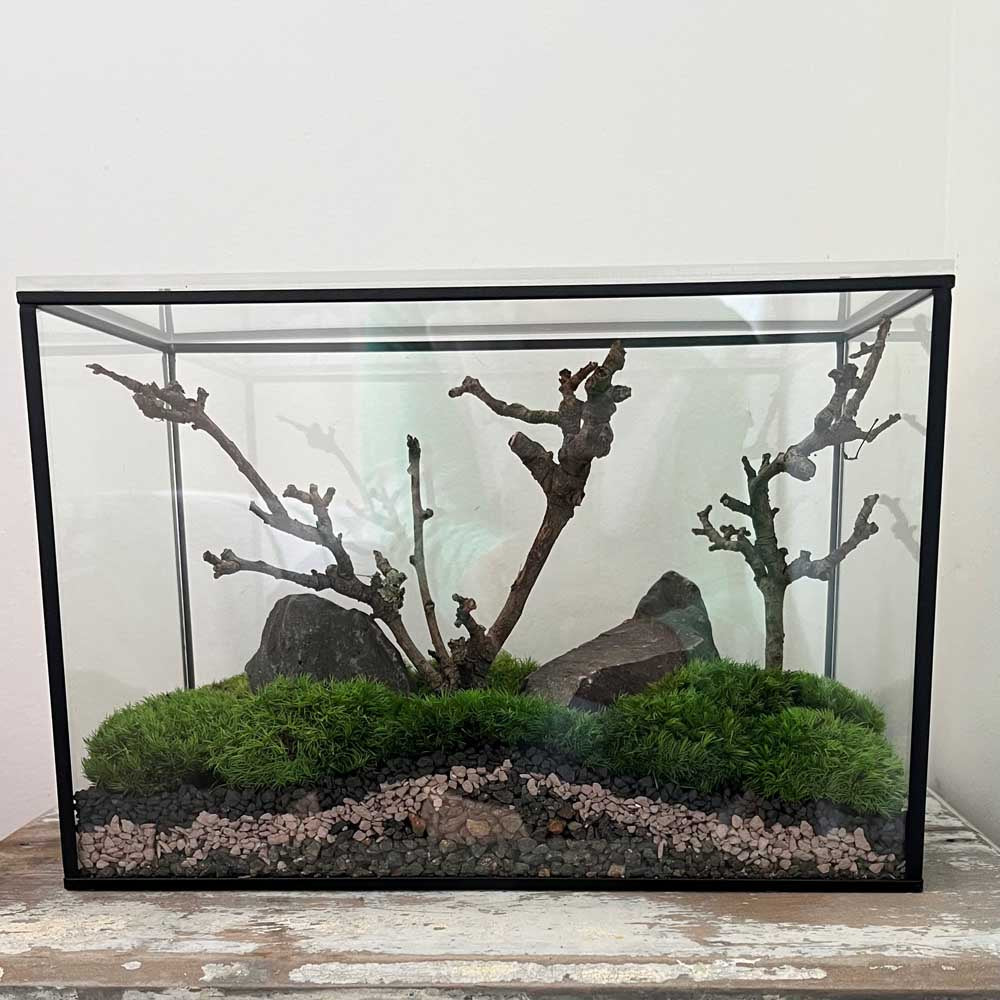 LULU & ANGEL: Forever Moss Terrarium