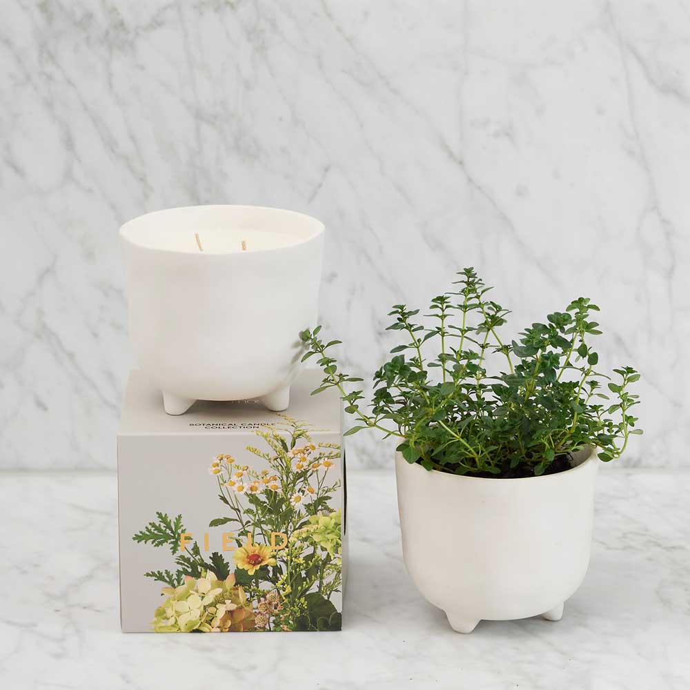 MYRTLE & MOSS: Botanical Candle | Field
