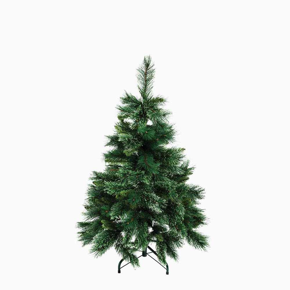 PAPAYA: Fir Christmas Tree