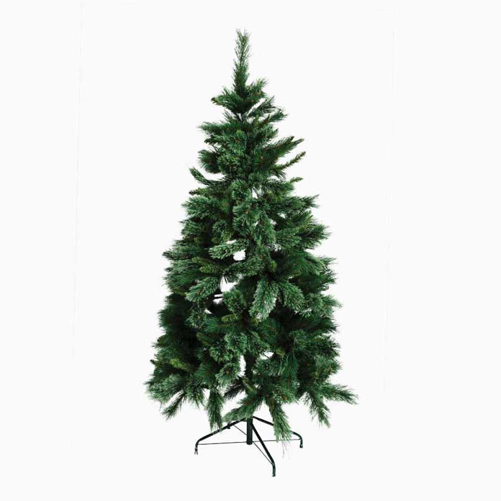 PAPAYA: Fir Christmas Tree